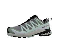 Salomon XA Pro 3D V9 GTX Damen Trailrunningschuhe, grau, Größe 40 40