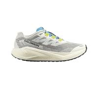 Salomon Schuhe Aero Blaze 3 GRVL – vanilla Ice/Ojos Del Salar Weiß, Gr. 42 2/3