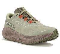 Salomon Aero Blaze 3 Grvl GORE-TEX Schuhe grün violett - 45(1/3)