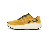 Salomon Aero Blaze 3 GRVL Herren 43 1/3 Gelb