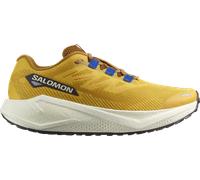 Salomon AERO BLAZE 3 GRVL Laufschuhe 45,3 gelb