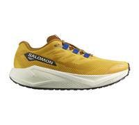 Salomon - Aero Blaze 3 Grvl - Runningschuhe, Gr. 40, beige (SpicyMustard/VanillaIce/NauticalBlue)