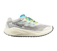 SALOMON Aero Blaze 3 GRVL (Herren) Laufschuhe 44 2.3 grau