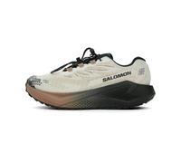 Salomon Aero Blaze 4 GRVL GTX Herren 40 2/3 Creme