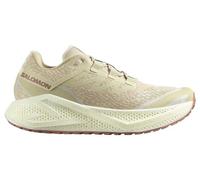 Salomon Aero Glide 3 GRVL Herren 42 Grün
