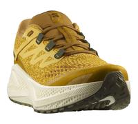Salomon Men's Aero Glide 3 Grvl Spicy Mustard/vanilla Ice/deep Lich 45 1/3