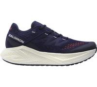 Salomon AERO GLIDE 3 GRVL Laufschuhe 46,7 blau