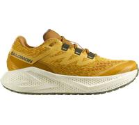 Salomon - Aero Glide 3 GRVL - Runningschuhe, Gr. 47 EU 47 1/3, beige (SpicyMustard/VanillaIce/DeepLichenGreen)