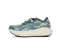 Salomon Aero Glide 4 GRVL Damen 42 Grün