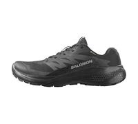 Salomon Trailrunningschuhe Alphaglide GORE-TEX – Herren, wasserdicht – Gr. 40 / UK 6.5, schwarz/grau