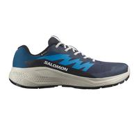 Herren Laufschuhe Salomon Alphaglide Gore-Tex Schuhgröße (EU): 41 1/3 / Farbe: blau