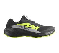 Salomon Alphaglide Goretex Trailrunning-schuhe EU 42 2/3