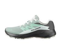 Salomon - Women's Alphaglide GORE-TEX - Trailrunningschuhe, Gr. 42, grau (GreenMilieu/Asphalt/ClearlyAqua)