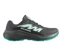 Salomon Alphaglide Gore-tex® Trailrunning-schuhe EU 38