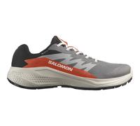 Salomon Alphaglide GORE-TEX Schuhe rauchgrau orange - 44