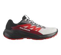 Salomon Alphaglide GTX Herren Trailrunningschuhe, grau, Größe 46 ⅔ 46 ⅔