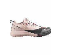 SALOMON S/lab Alpinway - Herren - Rosa / Schwarz - Größe 46- Modell 2026