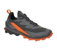 SALOMON Herren Multifunktionsschuhe SHOES CROSS OVER 2 GTX Mgnt/Phantm/Spiro (L47265000) 45 ⅓ Magnet/Phantom/Spice Route