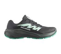 Salomon Damen Alphaglide GTX schwarz EU 44.0