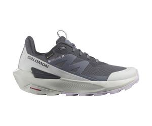 Salomon Damen Elixir Activ GTX Schuhe (Größe 38, grau)
