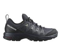 SALOMON Damen Multifunktionsschuhe SHOES X BRAZE GTX W India Ink/Black/Dese (L47180800) 38 India Ink/Black/Desert Sage