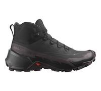 SALOMON Damen Multifunktionsstiefel SHOES CROSS HIKE MID GTX 2 W Black/Choco (L41731000) 38 Grau
