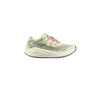 SALOMON Damen Traillaufschuhe Aero Blaze 3 GRVL beige | 40