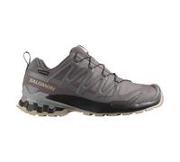 Salomon Damen XA Pro 3D V9 GTX grau EU 38.0