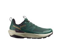 Salomon Elixir Activ Gore-tex® Wanderschuhe EU 44 Scarab / Green Gables / Chili