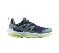 Salomon Herren Schuhe Elixir Activ Gore-Tex, Wasserdicht, Maritime Blue Trooper Sharp Green (Maritime Blue, EU Schuhgrößensystem, Erwachsene, Herren, Numerisch, M, 43 1/3)
