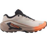Salomon Genesis 2 Gore-Tex Trail-Schuhe 40,7 braun