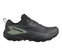 Genesis GTX Trailrunningschuhe Herren Black / Agave Green / Urban Chic-EU 46 - UK 11