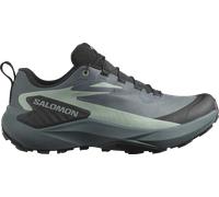 Salomon GENESIS GTX W Trail-Schuhe 42,7 grau