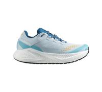 Salomon Herren Aero Glide 3 GRVL Schuhe (Größe 43 , blau)