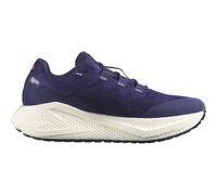 Salomon Herren Aero Glide 3 Gravel lila EU 46.6