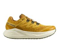 Salomon Men's Aero Glide 3 Grvl Spicy Mustard/vanilla Ice/deep Lich 48