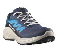 Salomon Herren Alphaglide GTX Schuhe (Größe 43 , blau)