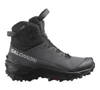 Salomon Herren Crosstrak Powder WP Schuhe (Größe 47 , grau)