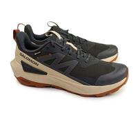 Salomon Herren Elixir ACTIV GTX Outdoor Schuhe, Phantom/Safari/Caramel Cafe, 44 2/3 EU