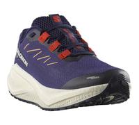 SALOMON Herren Laufschuhe SHOES AERO BLAZE 3 GRVL Astral/Mar Bl/Ha (L47915400) 42 Astral Aura/Maritime Blue/Haute Red