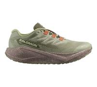 SALOMON Herren Laufschuhe SHOES AERO BLAZE 3 GRVL GTX Tea/Iron/Bur (L47978500) 42 Tea/Iron/Burnt Ochre