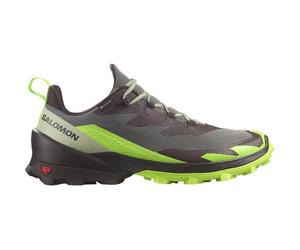 SALOMON Herren Multifunktionsschuhe SHOES CROSS OVER 2 GTX Desert/Grgeck/Cho (L47268600) 46 Desert Sage/Green Gecko/Chocolate P