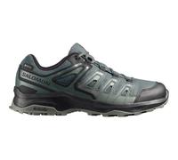 SALOMON Herren Multifunktionsschuhe SHOES EXTEGRA GTX Ubnchi/Black/Planta (L49135400) 43 ⅓ Grau