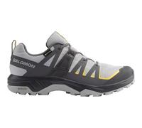 SHOES EXTEND GTX Alloy/Asphalt/Spicym ALLOY/ASPHALT/SPICY MUSTARD EU 46.5