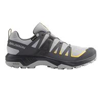 SALOMON SHOES EXTEND GTX Alloy/Asphalt/Spicym ALLOY/ASPHALT/SPICY MUSTARD Grau 46