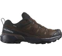 SALOMON Herren Multifunktionsschuhe SHOES X ULTRA 360 LTR GTX Dkeart/Dlciso Dark Earth/Delicioso/Sharkskin - Gr. - 42 ⅔