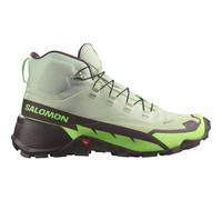 SALOMON Herren Multifunktionsstiefel SHOES CROSS HIKE MID GTX 2 Desert/Grgeck (L47277700) 44 Desert Sage/Green Gecko/Chocolate P