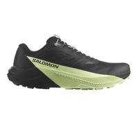 SALOMON Pulsar (Herren) Laufschuhe 42 2.3