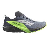 Salomon Herren Sense Ride 5 GTX Schuhe (Größe 41.5, grau)