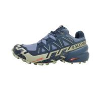 SALOMON Herren Trailrunningschuhe SHOES SPEEDCROSS 6 GTX Grisai/Carbon/Tea (L47465500) 45 ⅓ Grisaille/Carbon/Tea